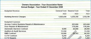 Annual Budget
